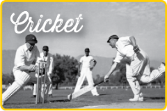 View the Image gallery : Cricket