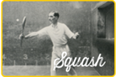 View the Image gallery : Squash